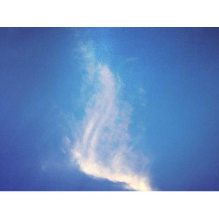 Heavy Duty Wooden Knife fr-FR